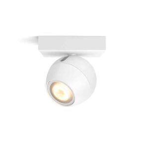 Foco Philips HUE Buckram Ambiance 1L Blanco & Dimmer Zigbee & BT