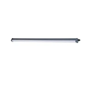 Pantalla Estanca ProjectLine 1200mm Negra 3100lm 3000k Philips