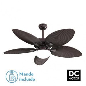 Ventilador de Techo Borasco Marrón DC
