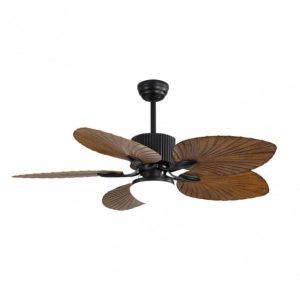 Ventilador de Techo Colla Negro