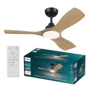 Ventilador de Techo Olas 42" DC Negro Madera Philips