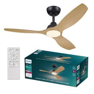 Ventilador de Techo Olas 52" DC Negro Madera Philips